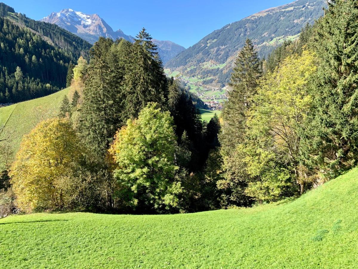 Natur Zeit - Alpine Garden Apartments Mayrhofen Ngoại thất bức ảnh