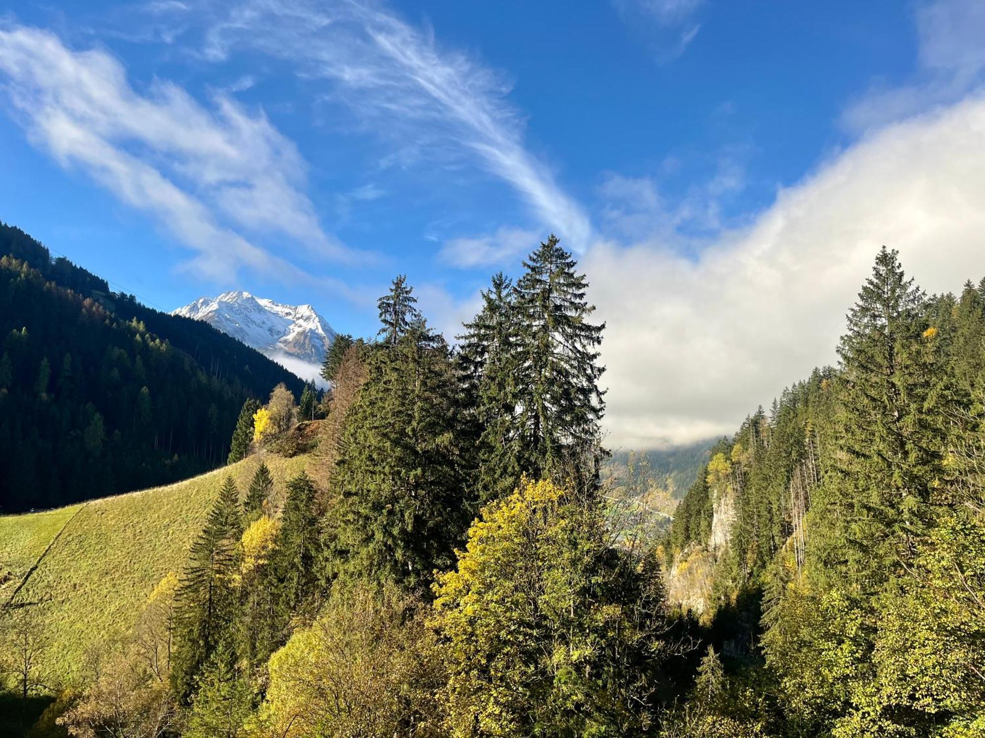 Natur Zeit - Alpine Garden Apartments Mayrhofen Ngoại thất bức ảnh